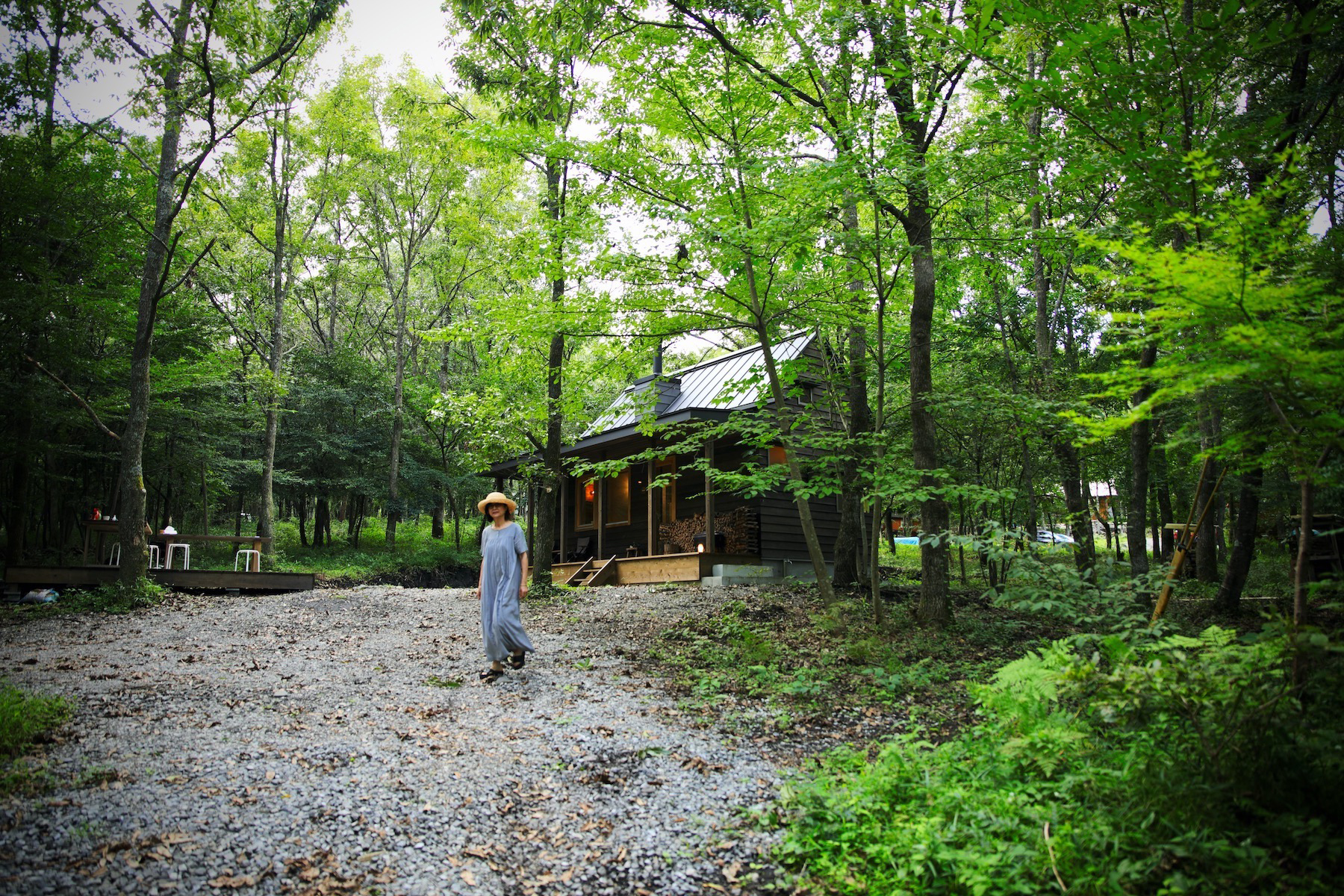 森の中に建つコヤキチの外観